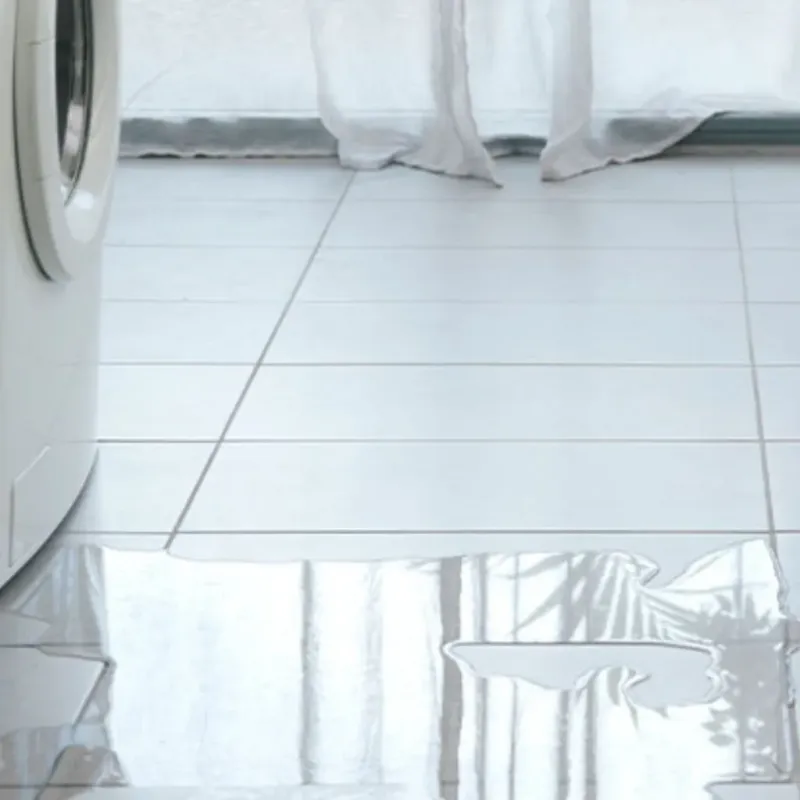 Appliance Leak Cleanup in Lone Pine, CA